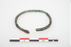 Foto von Bronzering (NHMW-PRAE-026628)